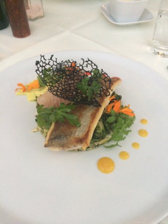 Danielle Billetz-Reppert (@dragonflyfarms_) on Twitter photo 