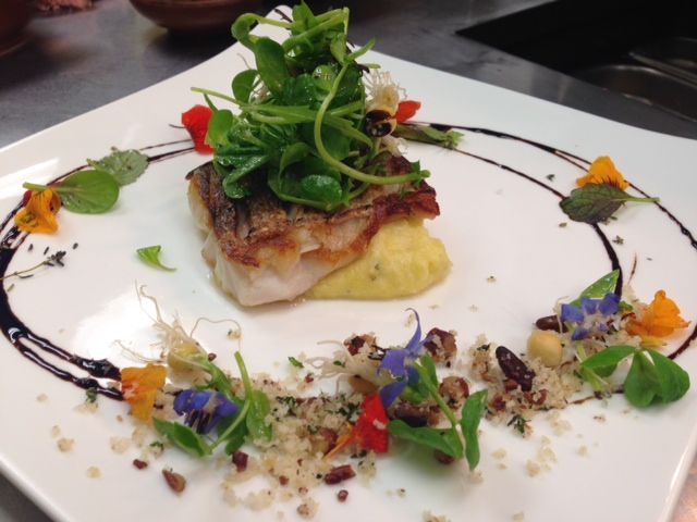 Danielle Billetz-Reppert (@dragonflyfarms_) on Twitter photo 