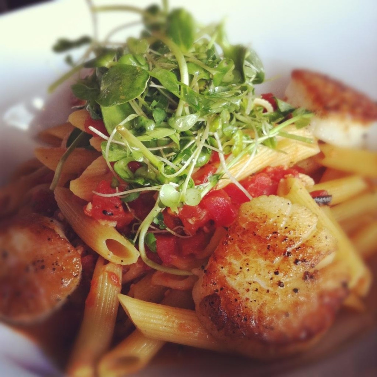 Danielle Billetz-Reppert (@dragonflyfarms_) on Twitter photo 