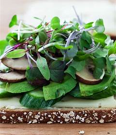 Danielle Billetz-Reppert (@dragonflyfarms_) on Twitter photo 