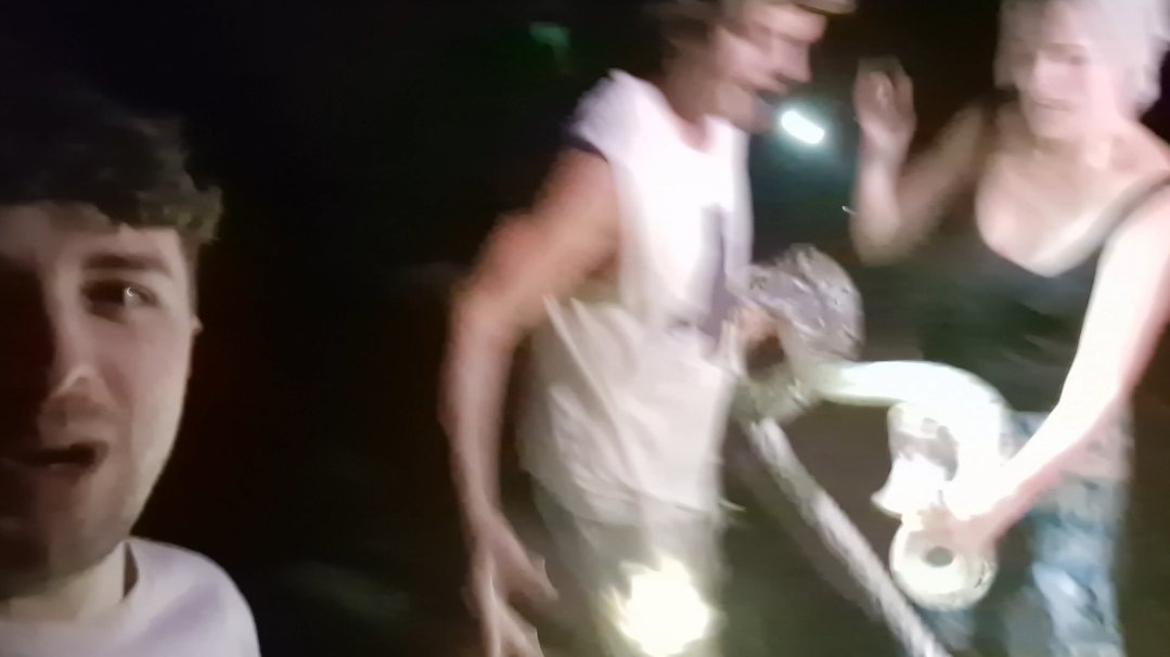 Dalas Review 🍞🐝🎖 tweet media