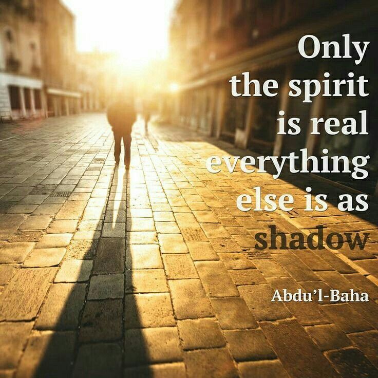 Blue Lotus tweet media