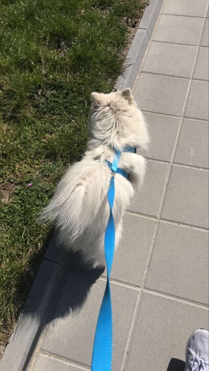 allaboutida's tweet image. go to pinterest
"your name core"
"your name baking"
"your name autumn"
"your name pets"