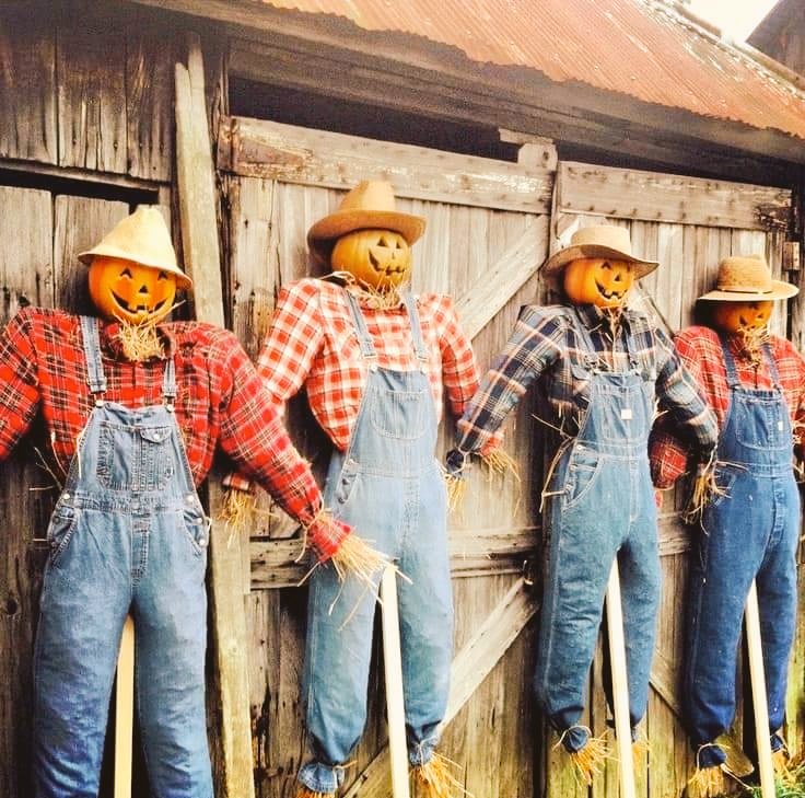 Have A Great Sunday Y'all! 🎃🤠 #Halloween #Harvest #Autumn #FallFun 🧡🍂🍁