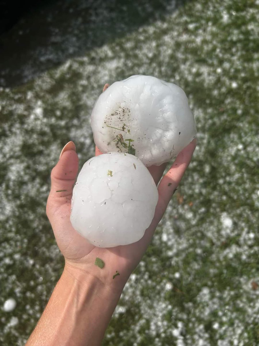 Andrea Cole tweet media