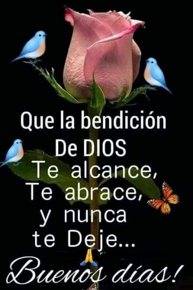 Luz_MedinaB's tweet photo. https://t.co/BtnhlmIsZW