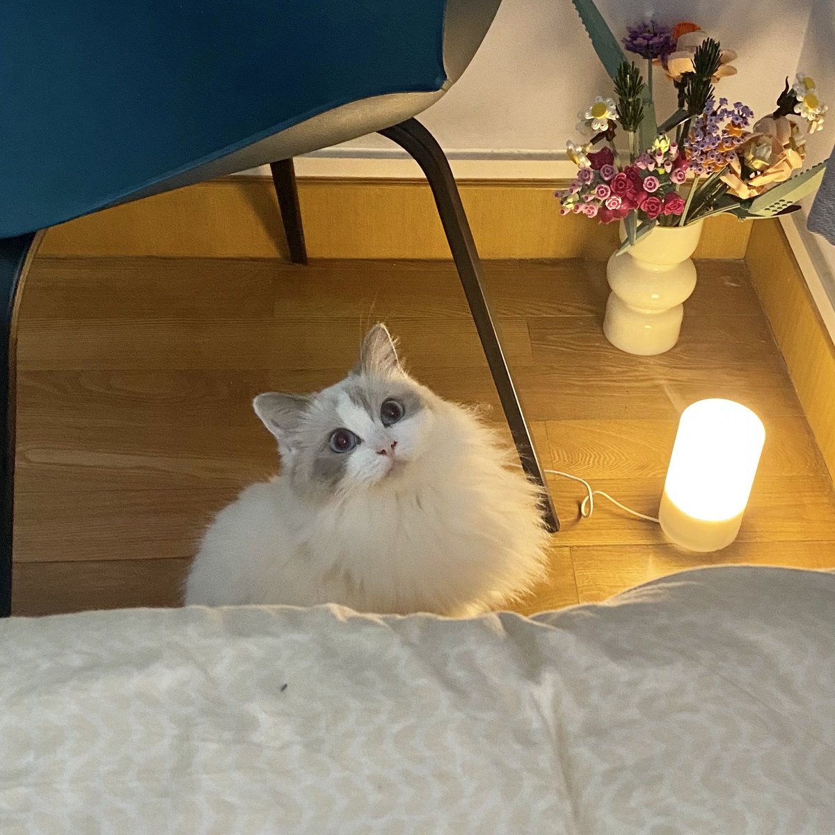 hi 好久不见