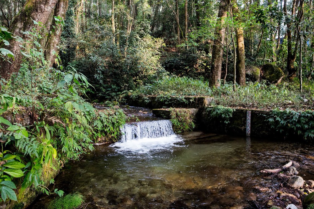 🌊 Happy World's River Day! 🌍 Today, we celebrate the life-giving arteries of our planet. Rivers provide us with clean water, biodiversity, and endless inspiration. Let's pledge to protect and preserve these precious resources for generations to come. 💧🌿 #WorldsRiverDay