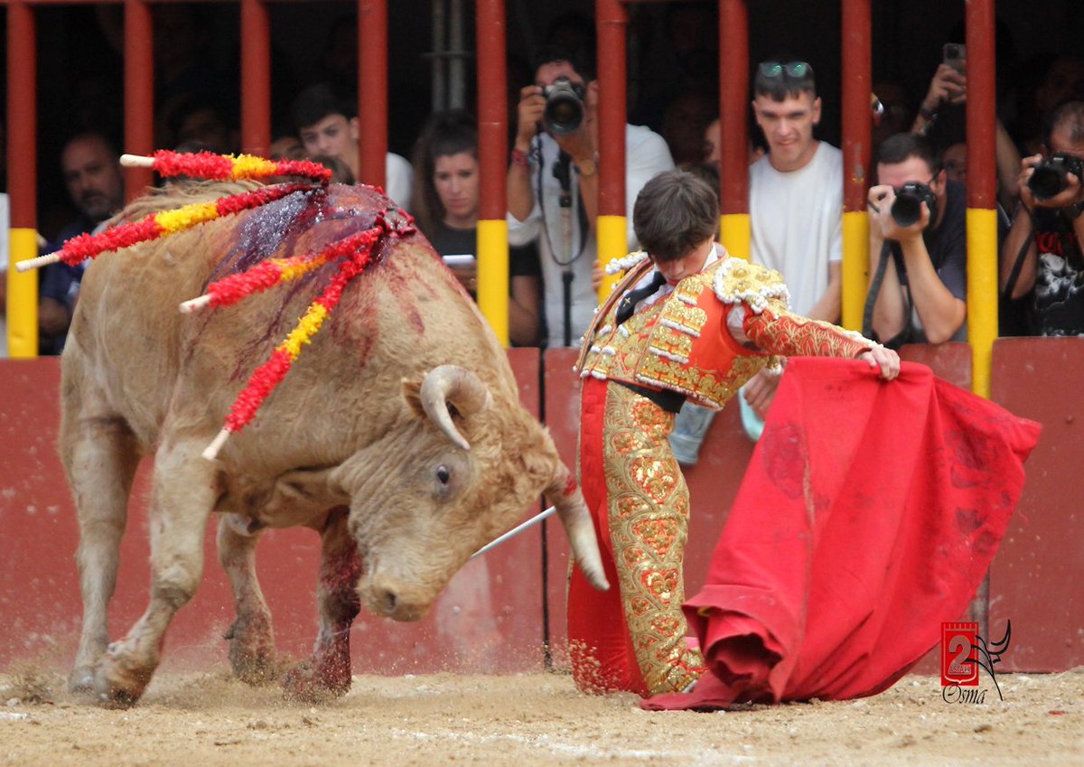 Lances de bella factura de @TristanBarroso_ a un gran novillo de @Montealto_UNJ en la 2ª de La Vid de Oro en @Arganda_Ayto @revtauromadrid @Taurosma