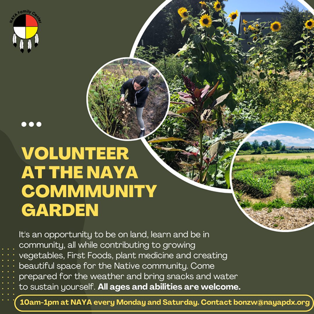 Volunteers needed at NAYA’s Community Garden! Join us on Mondays and Saturdays from 10 a.m. to 1 p.m. and help with compost making, seed saving, harvesting, fall/winter garden planting, and much more! All ages and abilities are welcome! Questions? Contact: bonzw@nayapdx.org