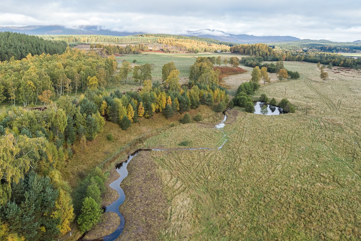 On #WorldRiversDay, I thought I'd share an image of a section of straightened ditch we had 'rewiggled' last year to add complexity to its course, and help relieve seasonal flooding. It's a tiny contribution to a growing number of exciting river projects in the UK. #northwoods