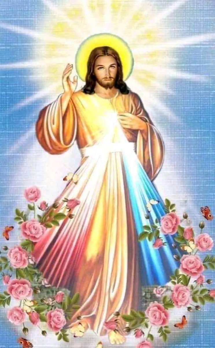 !! BENDITO DOMINGO DEL SEÑOR !!