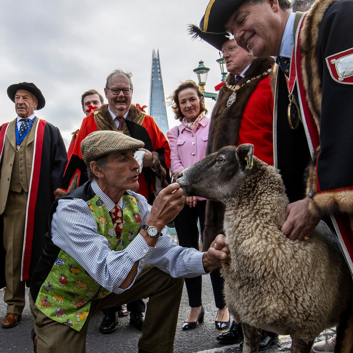 SheepDriveLDN's tweet photo. We’re overwhelmed by the incredible support today! Thank you so much to everyone who made it such a success!

We’re so proud to uphold this historic tradition for the City, all while raising money for charity! https://t.co/Ifo46OHGv0