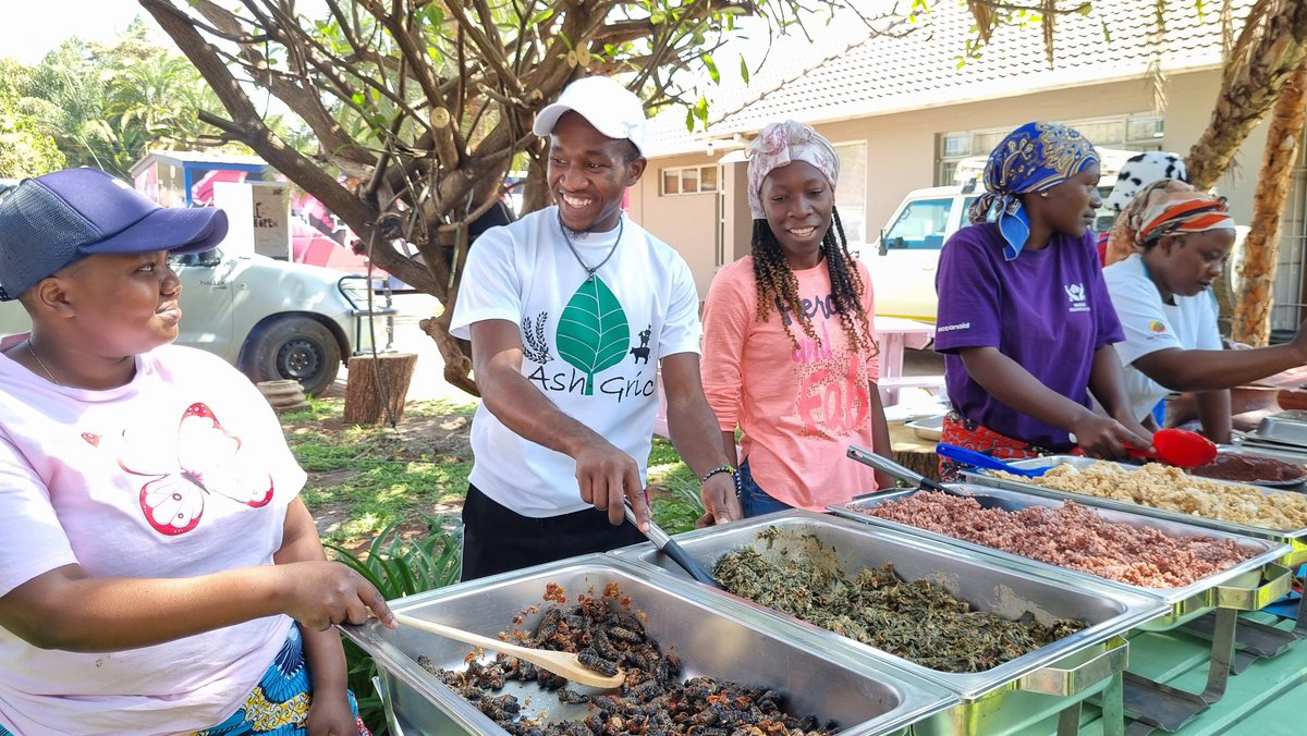 Global Platform Zimbabwe tweet media