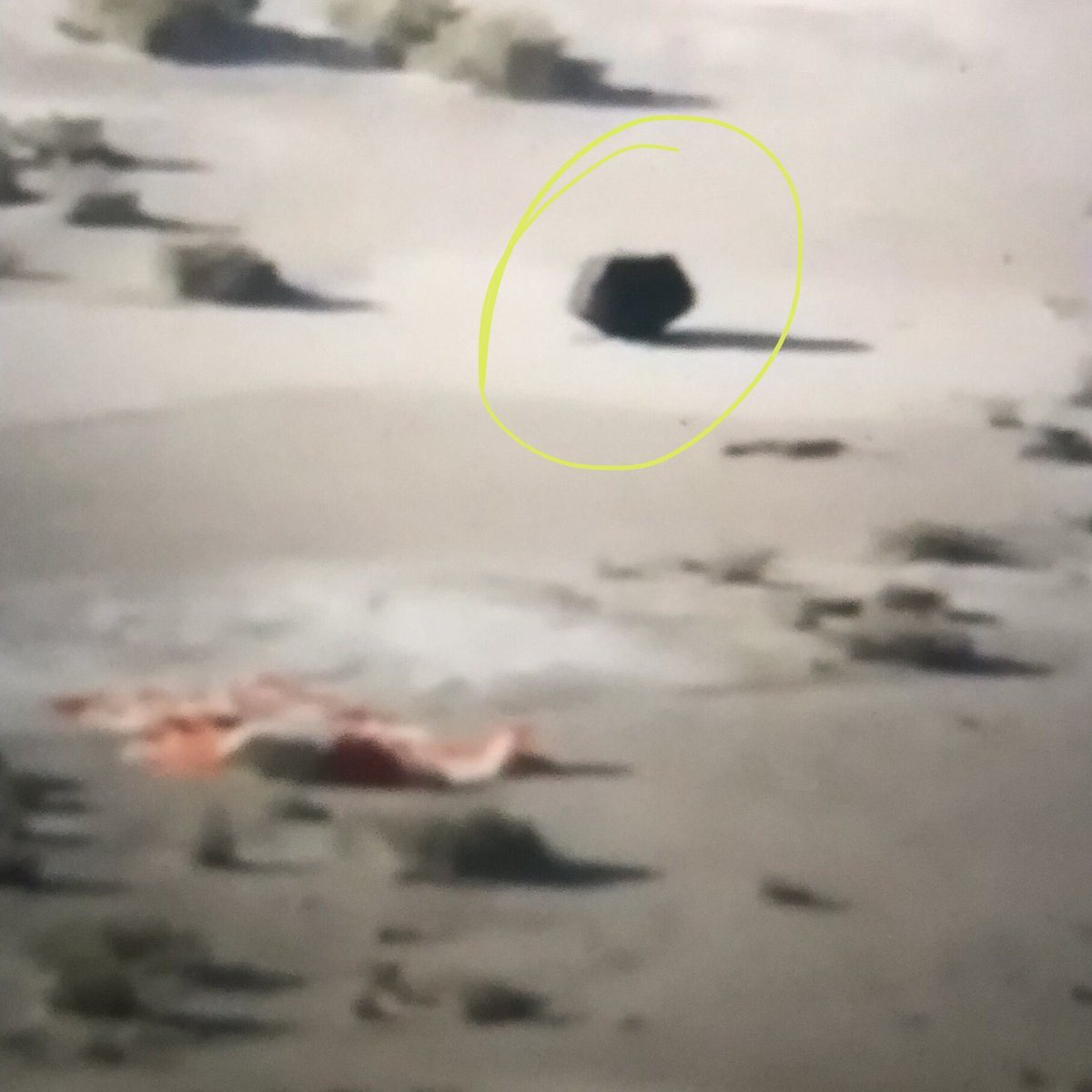 SpaceKate tweet media