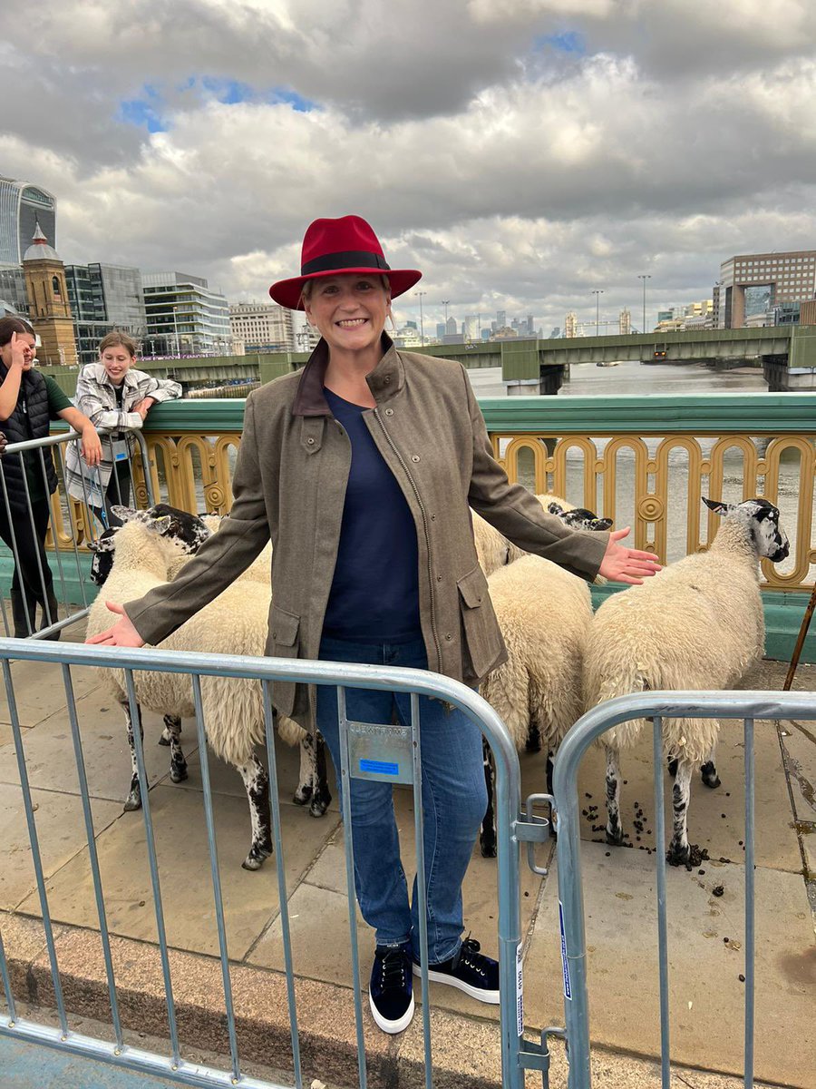 Kate Prior tweet media