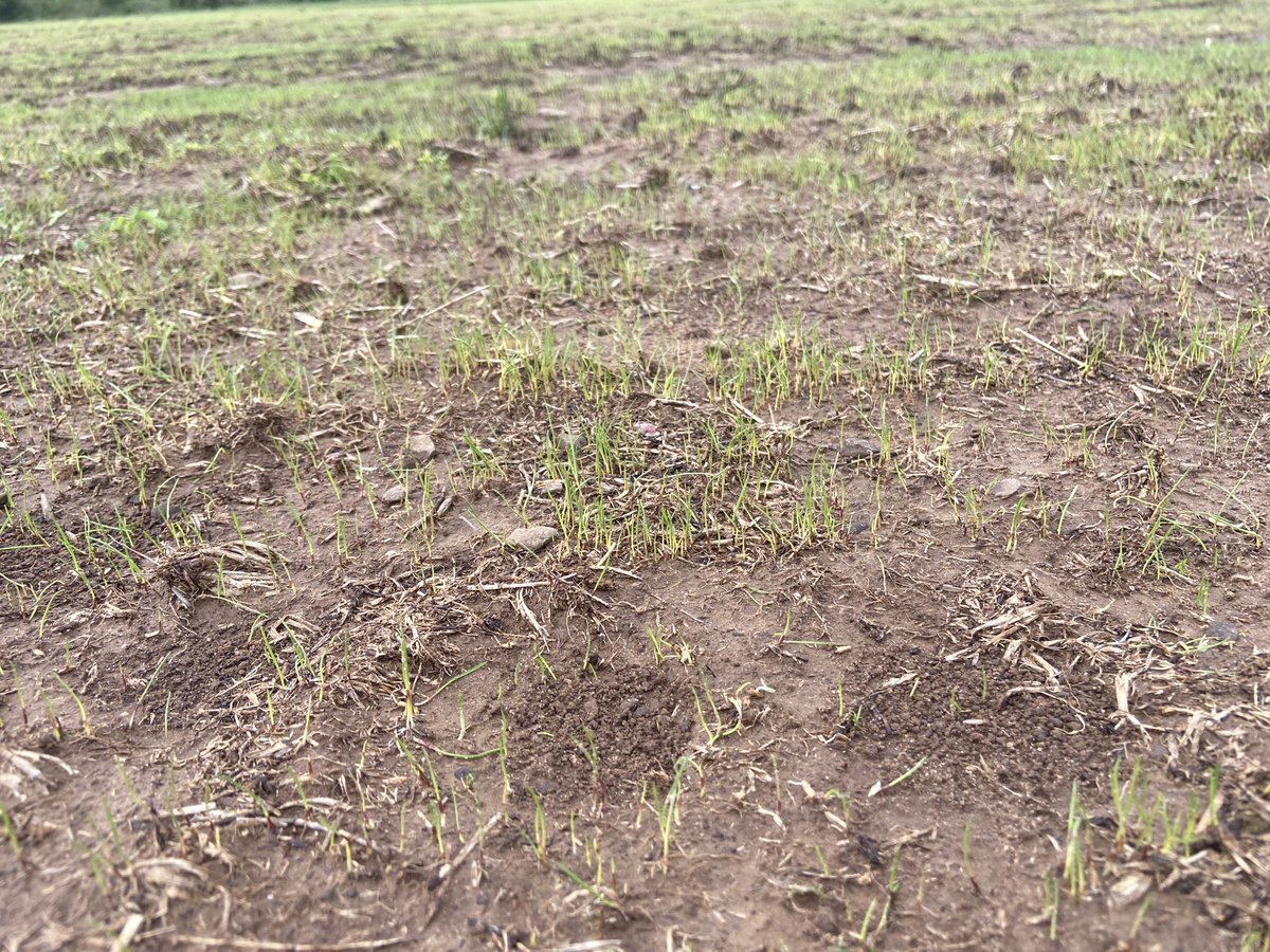 Mike Richardson tweet media