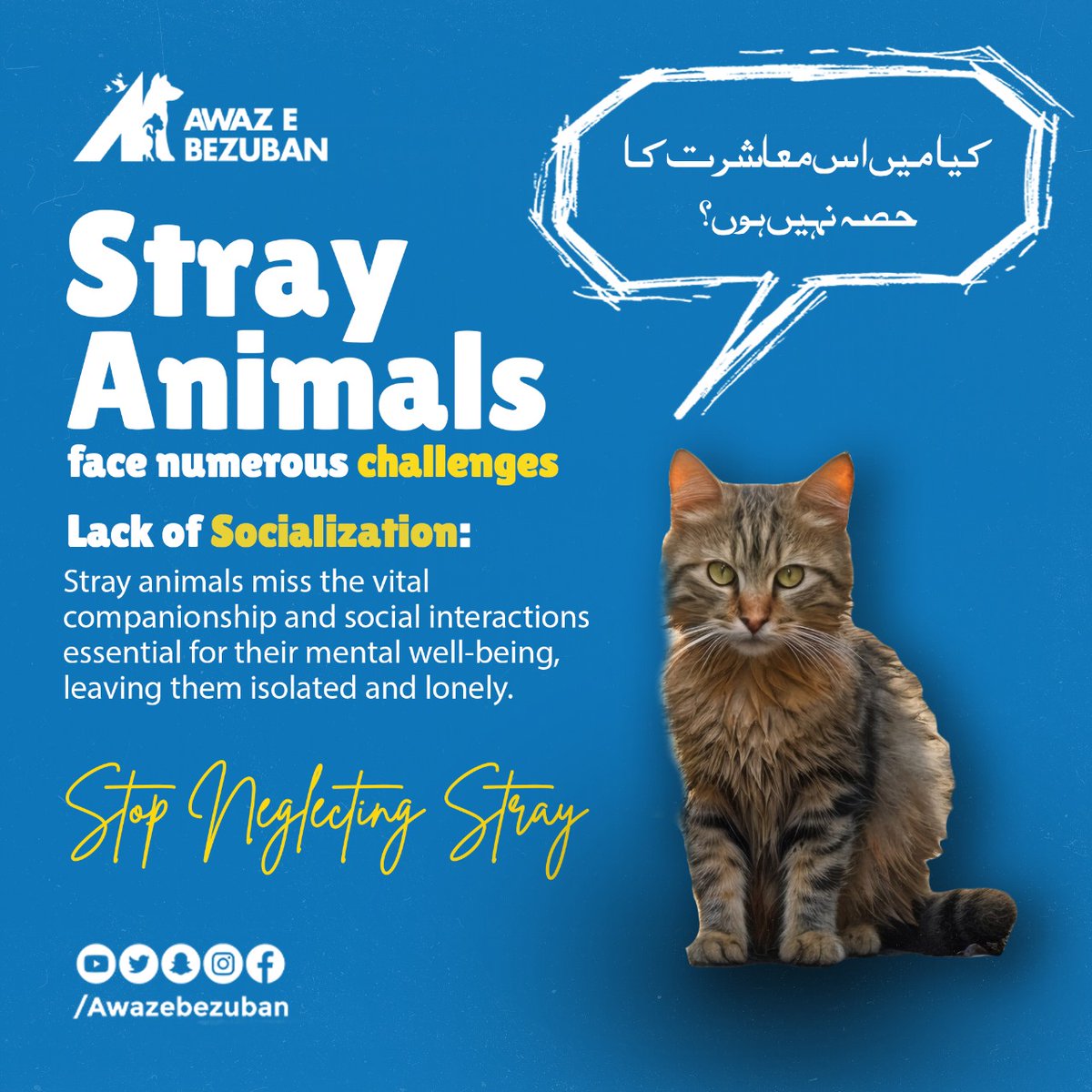 Stray animals long for companionship and social bonds, but many are left isolated and alone. Let's raise awareness about their emotional needs and work to provide them with the love and interaction they deserve. 💕🐕🐈

 #socializestrays #companionshipatters #stopneglectingstray