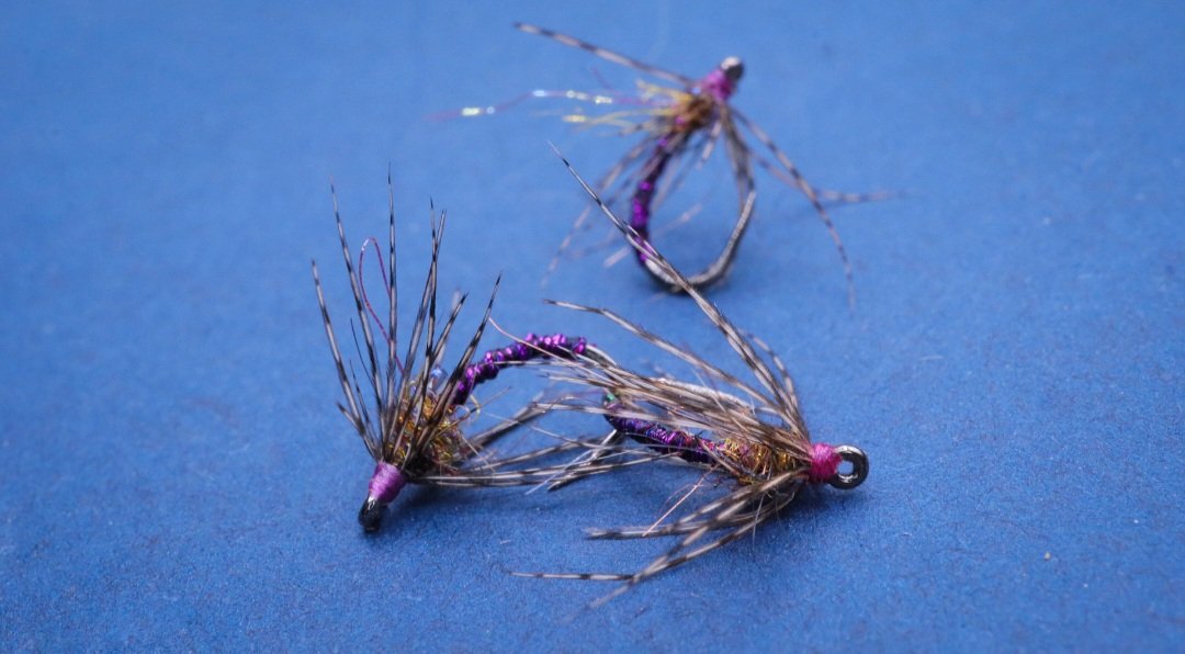 debpaskall's tweet image. Purple soft hackle that has been working great in my river, the trout here love purple. 
Partridge Grub Hook sz16
Semperfli Micro Glint Purple 
SLF Red Fox Squirrel
Hungarian Partridge
#flytying #semperfli #softhackles #troutflies