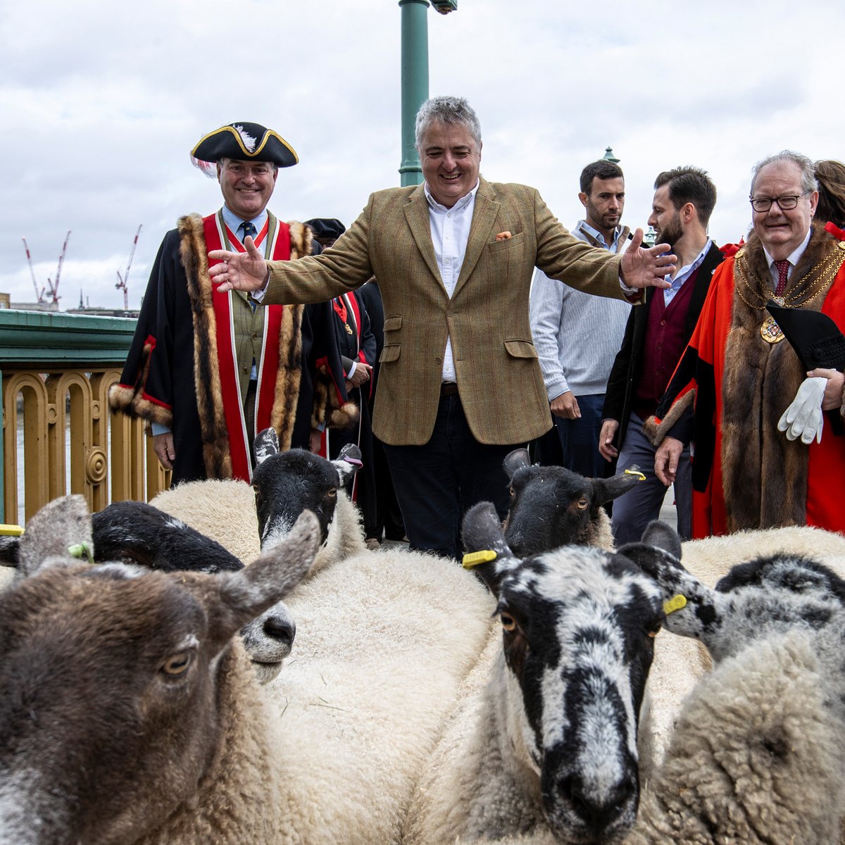SheepDriveLDN's tweet photo. We’re overwhelmed by the incredible support today, thank you so much to everyone who made it such a success!

We’re so proud to uphold this historic tradition for Freemen of the City and their guests, all while raising money for charity.

See you next year! https://t.co/2XYbKXUudr