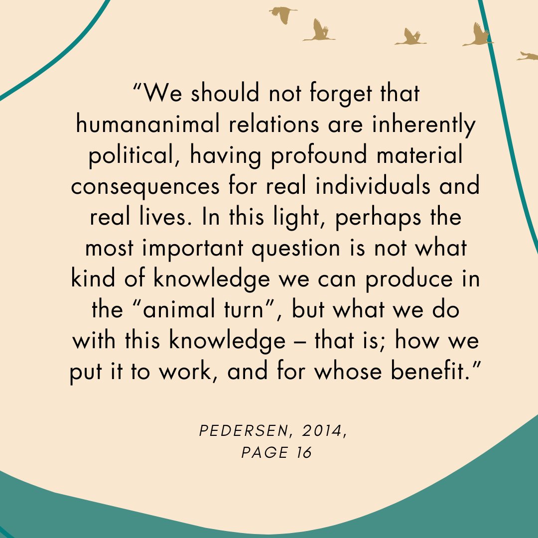 This quote from Helena Pedersen cuts to the heart of why Critical Animal Studies (CAS) is important in the animal turn. Scholars in CAS focus their attention on improving animal lives. These scholars seek to dismantle the unequal and often violent structures that hurt animals.
