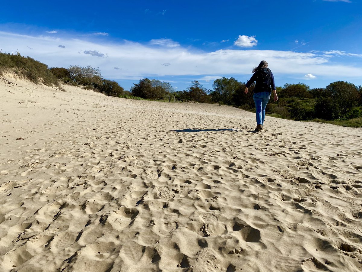 Paul Verspeek tweet media