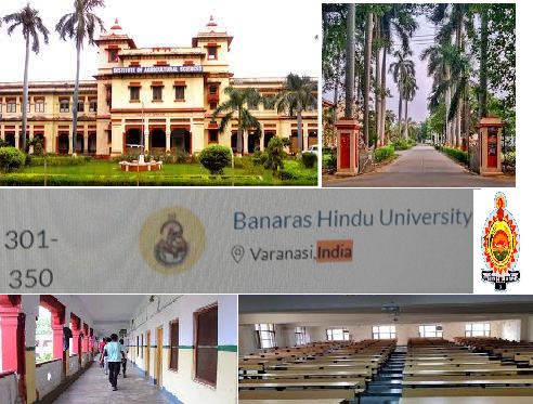 AmitavaRakshit3's tweet photo. #IAgSc When you talk about your @directoragbhu, @bhupro which figured in the list of @worlduniranking   &amp; topped among the @icarindia universities before representatives from 41 countries of the @World brought me to the peak of happiness @VCofficeBHU
@registrarbhu @ugc_india @FAO https://t.co/To86DJ5d6Q