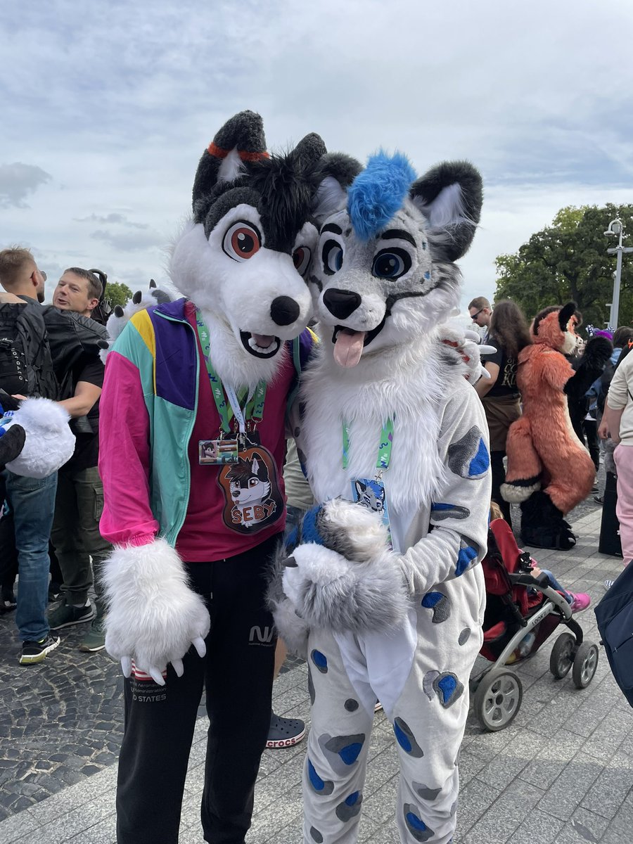Seby_Husko's tweet photo. Had the oportunity to see this cute snep again at #WrFW ^^
🐆 - @Mowen_x
📷 - @auojawolf https://t.co/QWeR6OIKx8