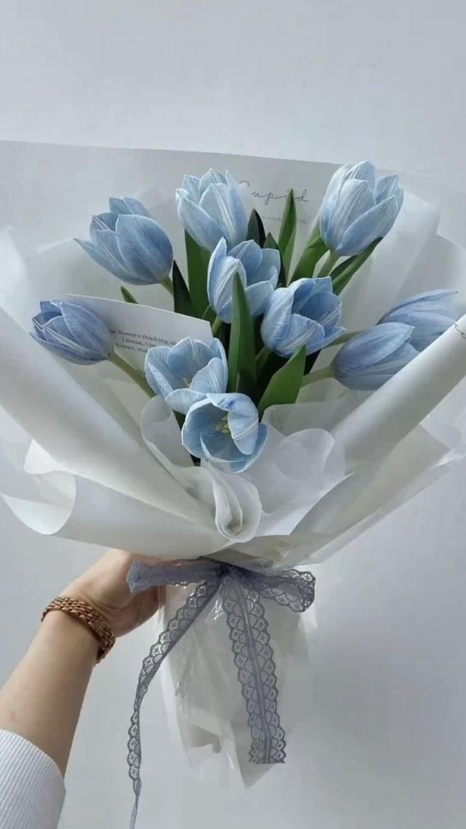 💐:<a href="/lomlxhs/">urito</a> 
te mando esto para no perder la costumbre… te amo con todo mi corazoncito uri y extraño demasiado 🩵🩵🩵 atte: tu anónimo súper anónimo