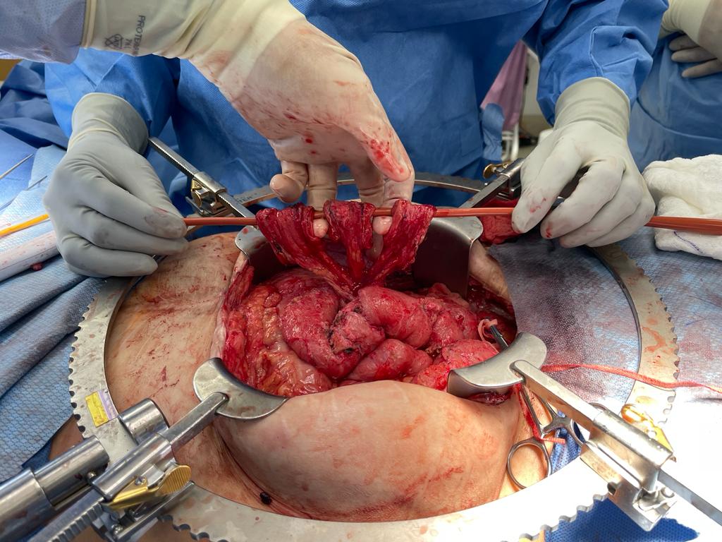 Mohamed Eltemamy tweet media