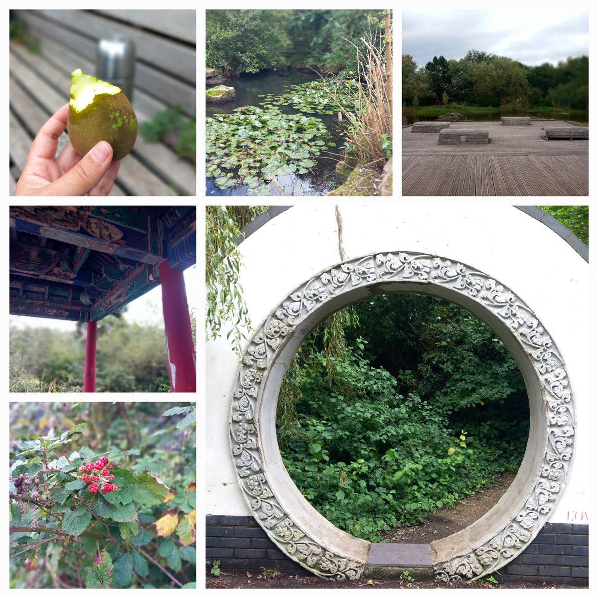 MSAnfieldRoad's tweet image. A lovely autumnal  picnic in the old, rather deserted, garden festival 🍂🍃🍐. Hope you’ve all had a lovely weekend and are excited to be in next week 🤖#Challenge5 #In2Win @AnfieldPrimary @AnfieldRPMusic @AnfieldRoadY4