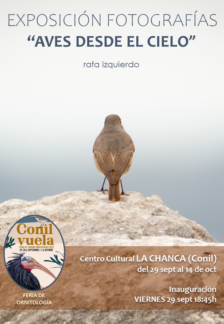 Nueva ocasión para disfrutar de la exposición de fotografías 'AVES DESDE EL CIELO', ahora en la II Feria de Ornitología de Conil. #feria #ornitologia #aves #birds #agafona #cadizsalvaje #fotografia #photographylovers #photographyislife #photographynature #foto #spain #conil