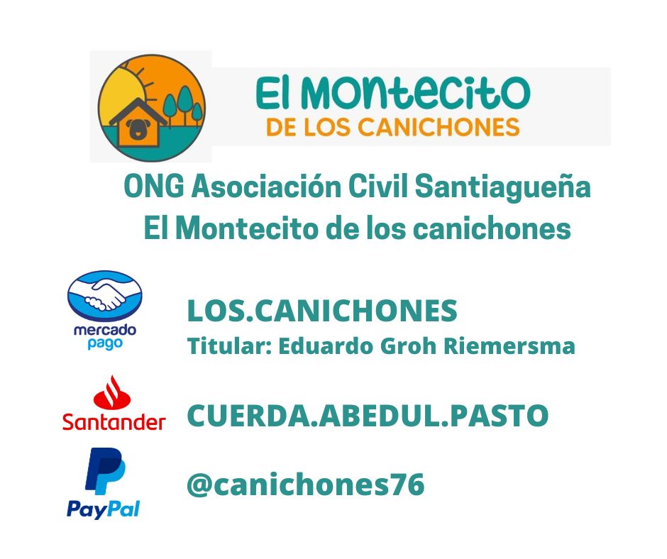 Para quienes deseen ser parte de esta gran movida les dejo los alias de Banco Santander y de Mercado Pago.
Gracias de corazón por nunca dejarnos solos ☀️