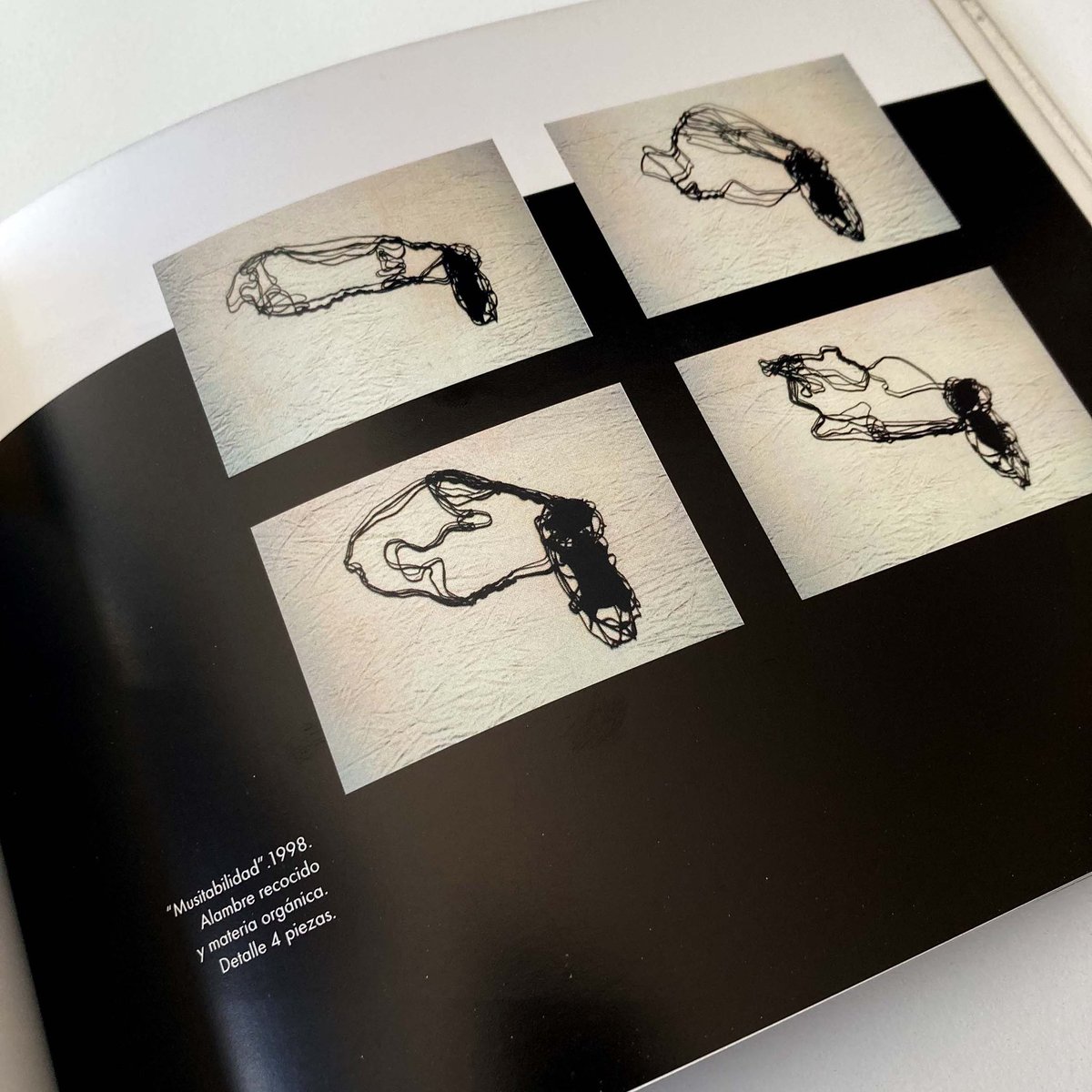 QHStudio_es's tweet photo. «Musitabilidad» | Alambre recocido, materia orgánica, hueso de melocotón, tela y grafito sobre tela | Medidas variables | Instalación | Escanilla, David: «Catalogo monográfico. Musitabilidad». Ed. Junta CyL y Fundación Caja Duero. 2001_

#catalogo #catalog #edicion #editorial https://t.co/NH5qs8Tx3O