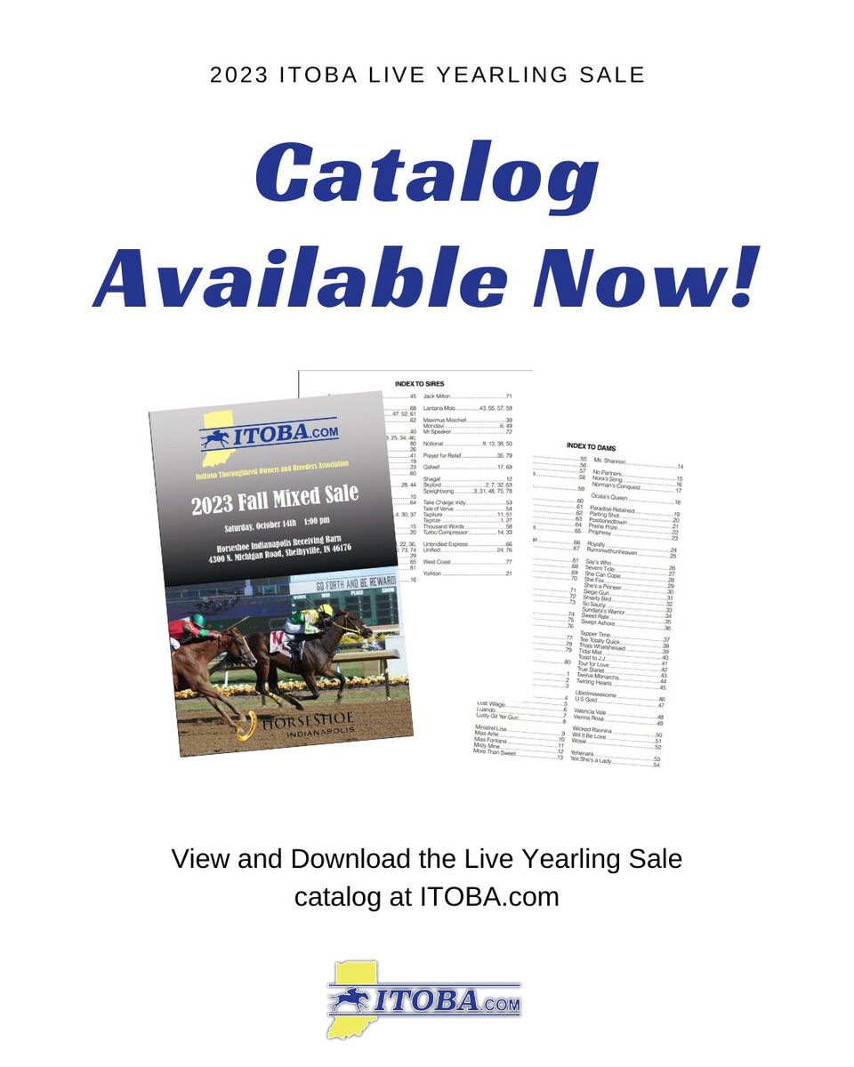 TOBAIndiana's tweet photo. The catalog for the 2023 Live Yearling Sale is available for download at https://t.co/Ohdq0aRbsa. ⭐️

#horseracing #yearling #yearlingsale #thoroughbred #racehorse #IndBred #IndSired https://t.co/lGCW1tt9sm