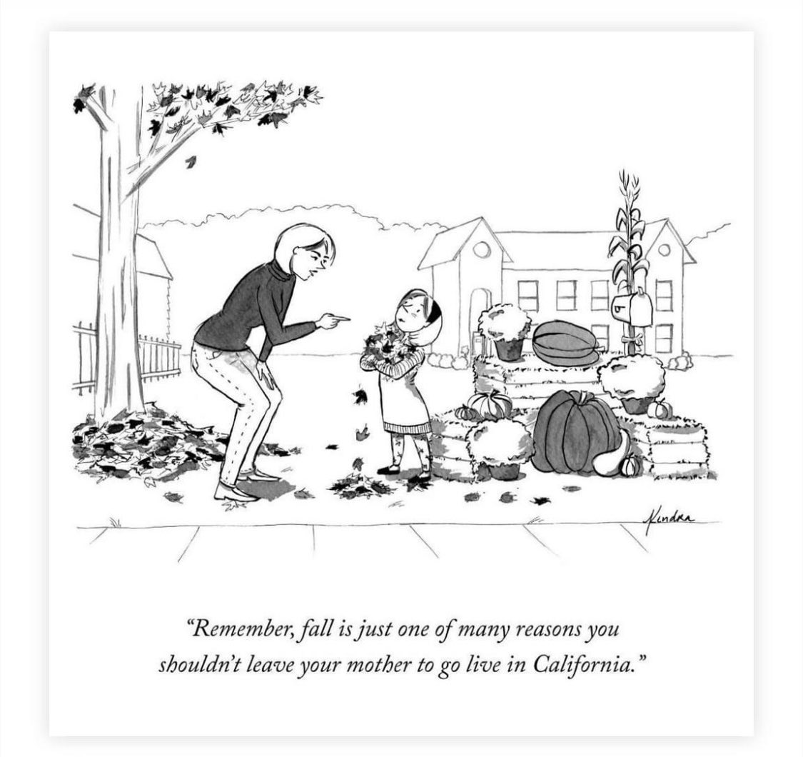 Senta Scarborough tweet media