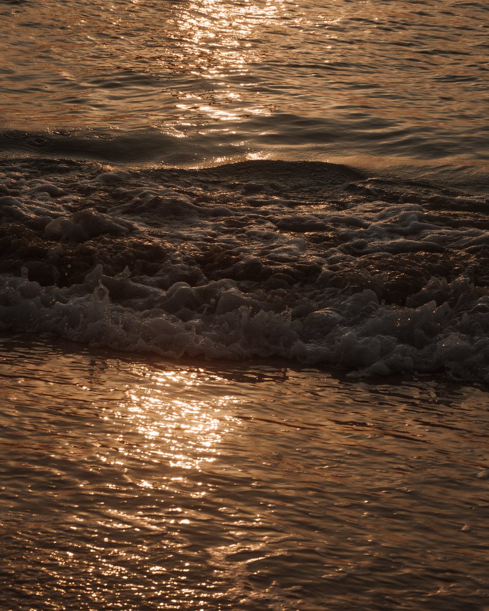 Joshymwemsi's tweet photo. "Embracing the mesmerizing glow of golden hour. โจ๐
Capturing nature's beauty at its finest. ๐ธ๐ฟ #GoldenHourMagic #NaturePhotography #SunsetLovers #GoldenHourGlow #MagicalMoments #CapturingTheLight #SunsetDreams #GoldenHourVibes #NaturePerfection #GoldenHourLove" https://t.co/xZU4OIEZUq