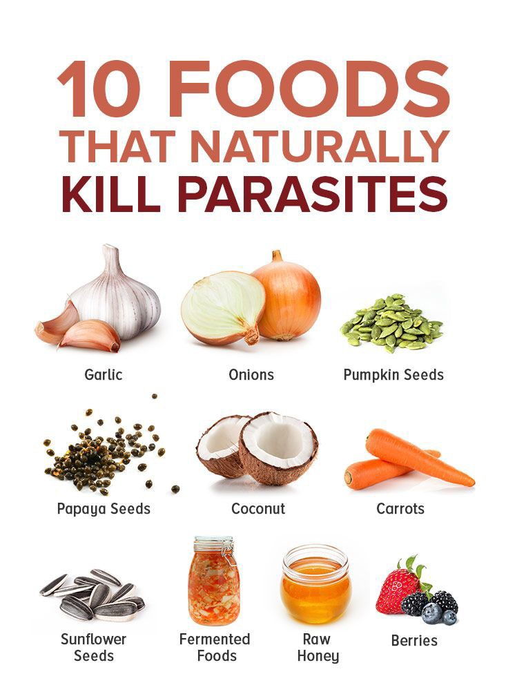 Foods that naturally kill parasites 😊
 Drop ❤️ if you want more post like this 😍

.#parasites #detox #parasite #jusdrinks #nature #parasitology #cleanse #himtoo #herbalmedicine #guthealth #woke #hypergamy #colon #herbs #toxicfemininity #mucus #redpill #parasitecleanse #nigeria