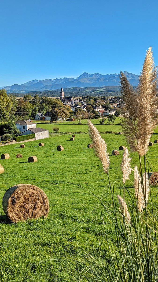 Balade du jour avec les amis et leurs gremlins... 💚
Pas besoin de viser l'exploit pour en prendre plein les mirettes ! 
📌 Ossun | Hautes-Pyrénées #occitanie