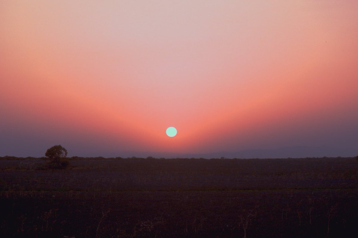 iam_rosse's tweet photo. “A la ausencia no hay quien se acostumbre. Otro sol no es tu sol, aunque te alumbre.”

Atardecer en Brihuega  <3 https://t.co/L5rNwPUWSY