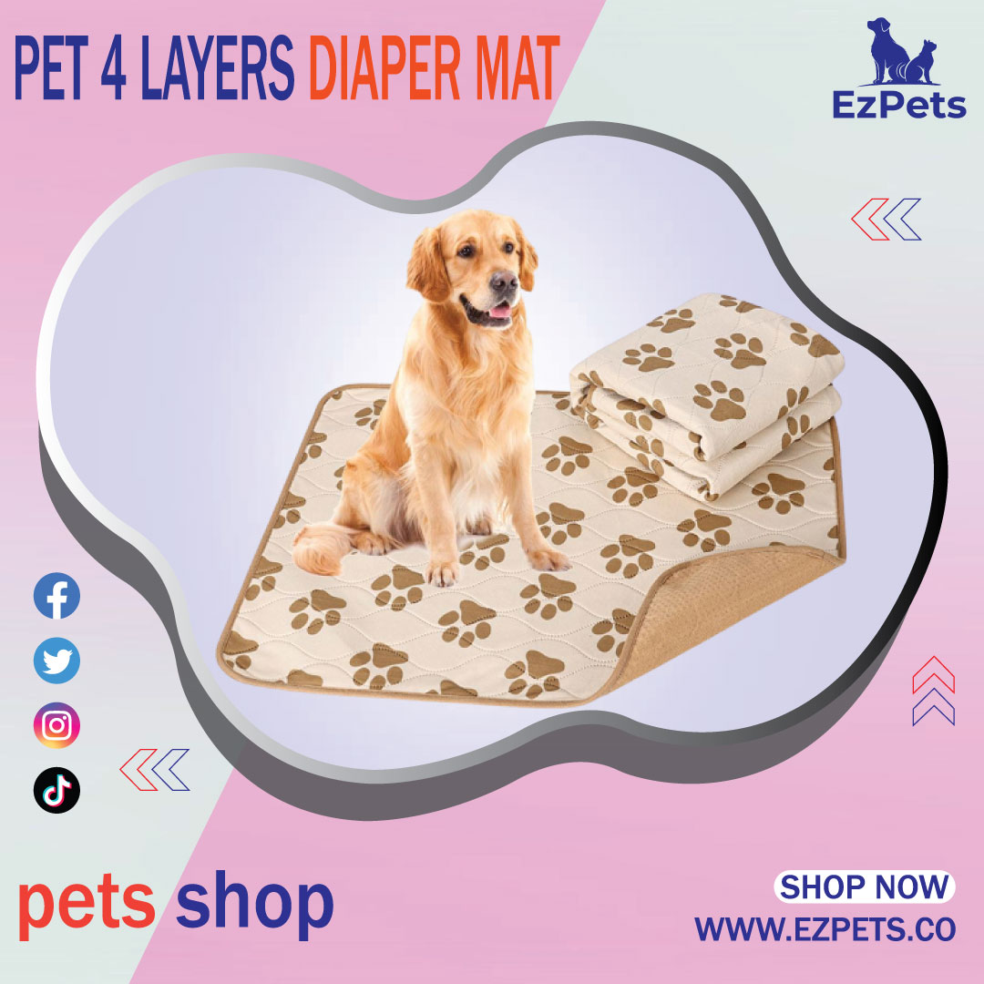 pet 4 layers diaper mat.
✅
👉👉BUY THIS PRODUCT: cutt.ly/ywvRQgfI
✅
👉👉VISIT OUR WEBSITE: ezpets.co
✅
✅
#petmatestar #petmat #petmat #petmats #dogmat #dogmats #petshop #petshops #petproducts #petproduct #petproductsonline #petmatchmakerca #petmats