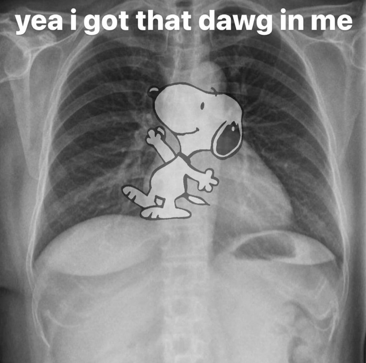 The Notorious J.O.V. (@whotfisjovana) on Twitter photo 