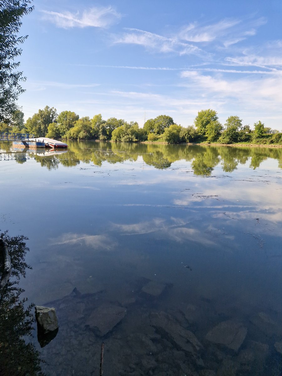 Happy World Rivers Day to all fellow river enthusiasts 🌊 Some views on the rivers Rhine, and its tributaries from recent fieldwork! #rivers2morrow #rivers #Rhine
