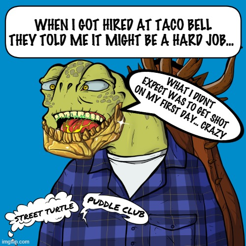 DegenGav's tweet image. @StreetTurtlePC  These memes are about to flood your timeline in a couple days just wait.... #STPC #ShellzUp