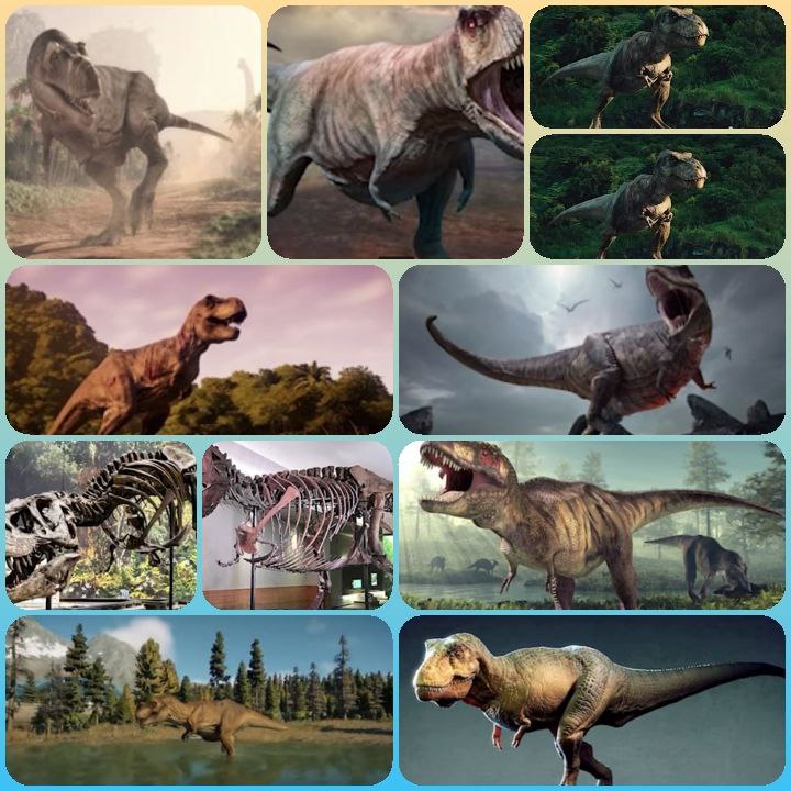 🦕🦖🦕 ANCIENT WORLD OF ANIMALS....TYRONOSAUS...WHAT WAS IT?..THIS VIDEO 👇👇👇 WILL HELP YOU IMAGINE
youtu.be/MoL4sR5q7G4?fe…

#usefulpositive #ancientanimals #dinosaurs
