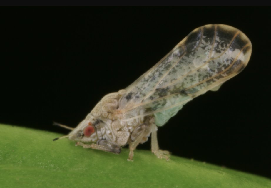 Ag&Natural Resources tweet media