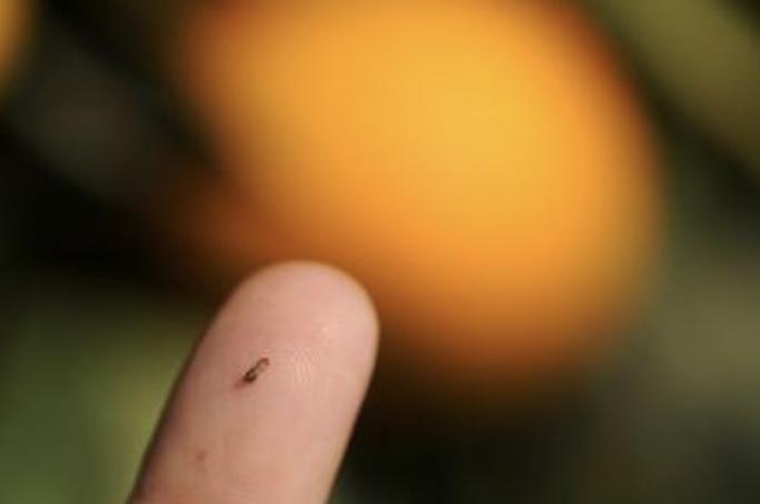 Ag&Natural Resources tweet media