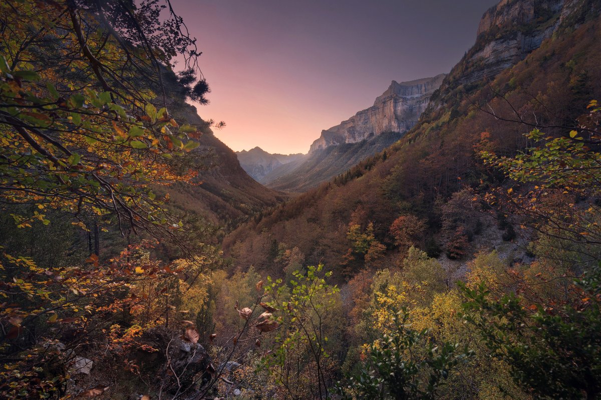 Sumérgete en la cautivadora belleza del Parque Nacional de Ordesa y el mágico entorno del Pirineo Aragonés durante el otoño. 🌄⛰️ #AviSelection