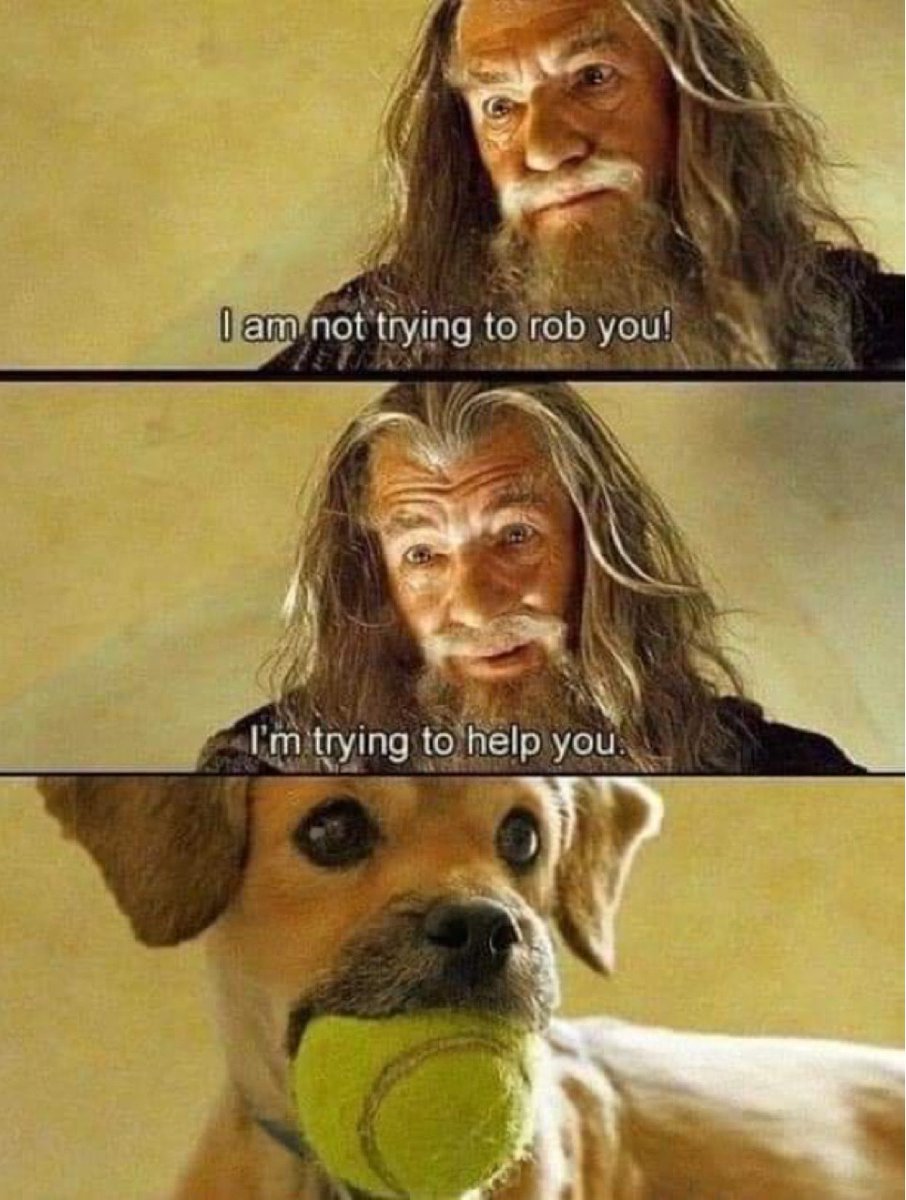 No touch. Only look…but throw plz 🐶

#doglogic #dogmeme #funnydogmeme #meme #humour #humor #funnymeme #funnystuff #funnymemesdaily #dumbbutfunny #mademelaugh #LOTR #LOTRmeme #lordoftheringsmeme