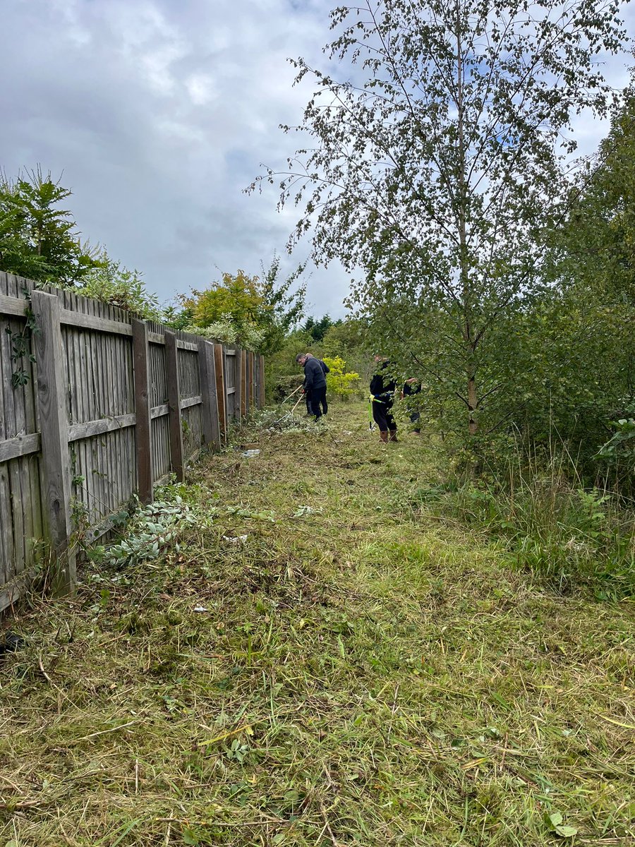 Everything gets very overgrown at this time of year. What a difference a day makes! Check out these before and after shots of our Brandie Brook Nature Reserve. #AmazingDifference.